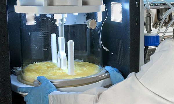 Pepti lyophilization process for peptide powder